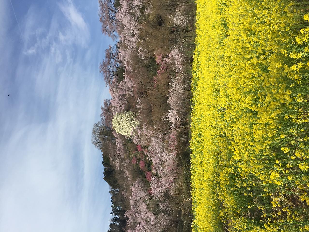Hotel Sunroute Fukushima Fukushima  Exterior foto