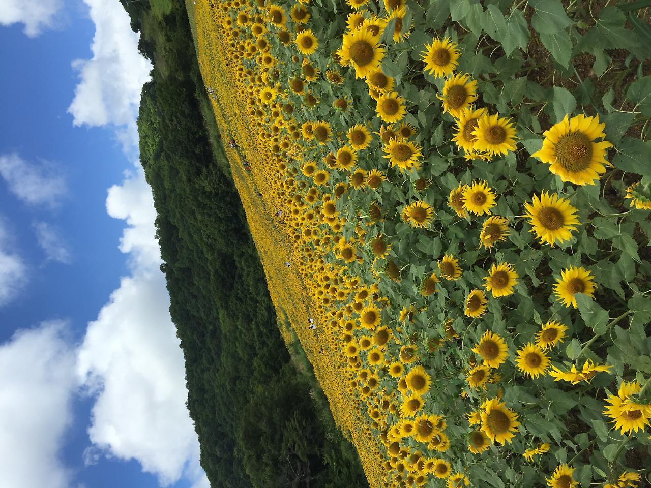 Hotel Sunroute Fukushima Fukushima  Exterior foto